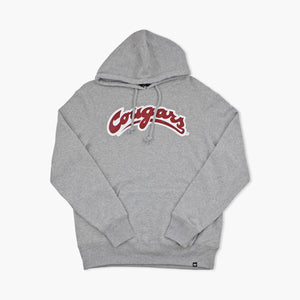 Washington State Cougars Slate Grey Wordmark Hoodie
