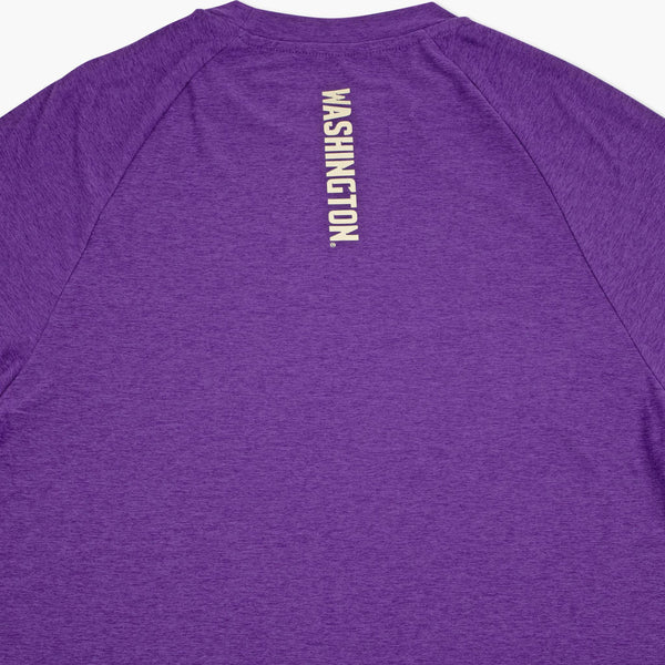 Washington Huskies Colosseum Purple Raglan T-Shirt