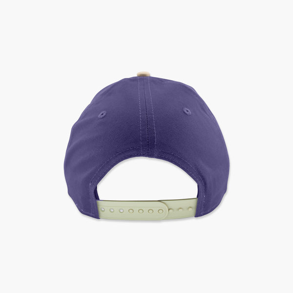 Washington Huskies Modern Purple Arched Snapback
