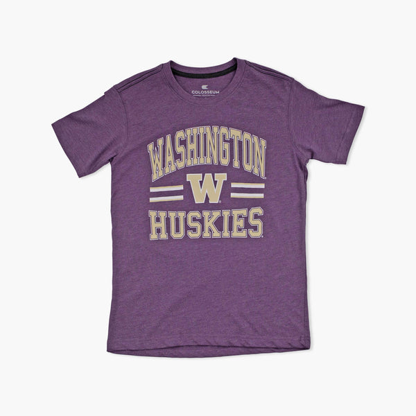 Washington Huskies Purple Colosseum Youth T-Shirt