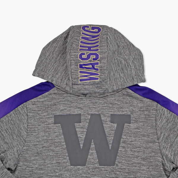 Washington Huskies Colosseum Gradient Grey Youth Hoodie