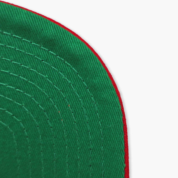 Seattle SuperSonics Monument Snapback