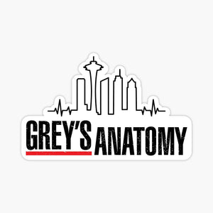Grey's Anatomy Skyline Sticker