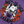 Load image into Gallery viewer, Washington Huskies Roses Hoodie