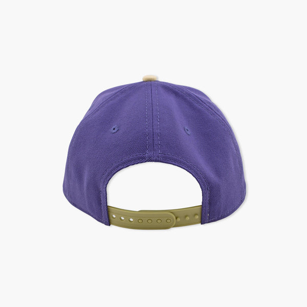 Washington Huskies Two-Tone Youth Snapback