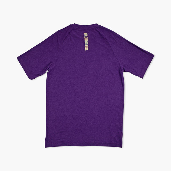 Washington Huskies Colosseum Purple Raglan T-Shirt