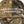 Rainier Beer Tree Camo Anthem Adjustable Hat