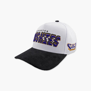 Washington Huskies Cream Stadium Pulse Snapback