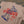 The Gameday Tan T-Shirt, Big Dumper Collection