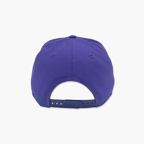 Washington Huskies Vintage Interlock Purple Snapback