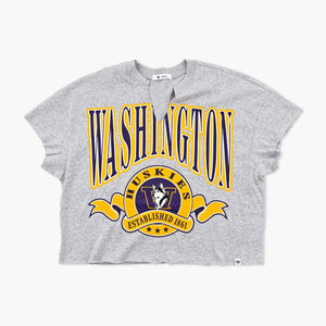 Washington Huskies Quartz Grey Banners Oversized T-Shirt