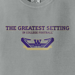 Washington Huskies Gray The Greatest Setting Comfort Colors Statement T-Shirt