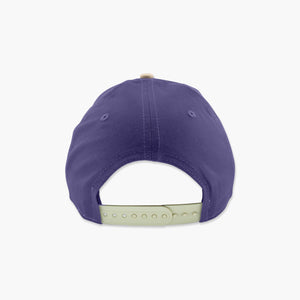 Washington Huskies Modern Purple Arched Snapback