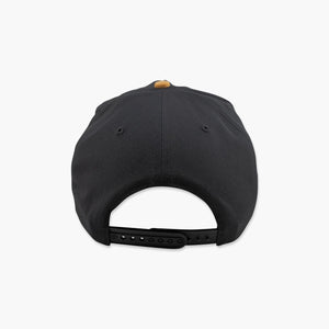 Washington Huskies Black Scribe Line Hitch Snapback