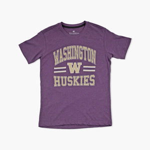Washington Huskies Purple Colosseum Youth T-Shirt