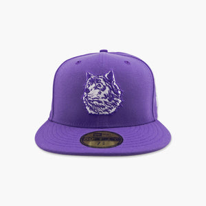 Washington Huskies Purple Vintage Husky Fitted Hat
