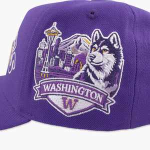 Washington Huskies Purple Block Text Dawg Pack Snapback