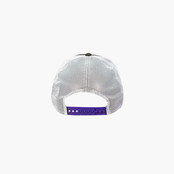 Washington Huskies Two-Tone Low Profile Snapback