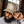 The BD Monogram Trucker Hat, Big Dumper Collection