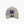 Washington Huskies Stone Dad Hat