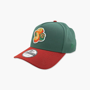Seattle SuperSonics Dark Green 1996 NBA Finals A-Frame Snapback