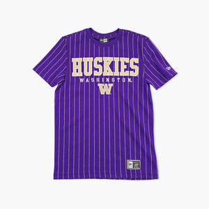 Washington Huskies Purple Campus Pinstripe T-Shirt