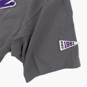 Washington Huskies Vintage Heather Heavyweight T-Shirt