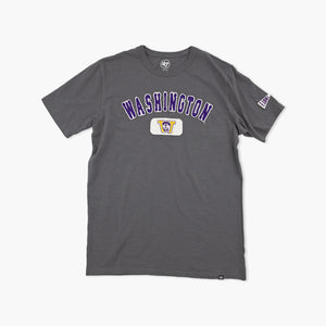 Washington Huskies Vintage Heather Heavyweight T-Shirt