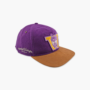 Washington Huskies Golden Age Purple Hitch Snapback