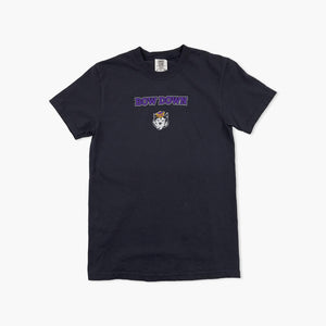 Washington Huskies Black Bow Down Comfort Colors Statement T-Shirt