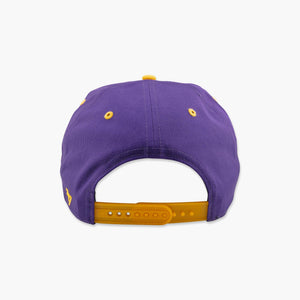 Washington Huskies Purple Diamond Hitch Snapback
