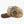 Seattle Mariners Camo Leaf Pro Snapback