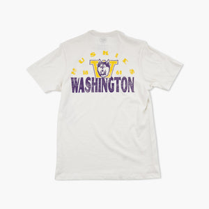 Washington Huskies Sandstone Arcitext Franklin T-Shirt