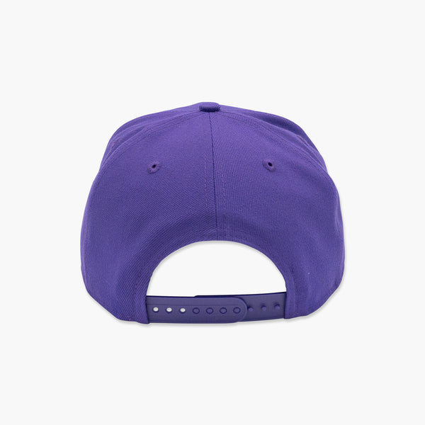 Washington Huskies Don James 1991 Rose Bowl Champions Snapback