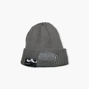 Seattle Seahawks Core Classic Silver Beanie