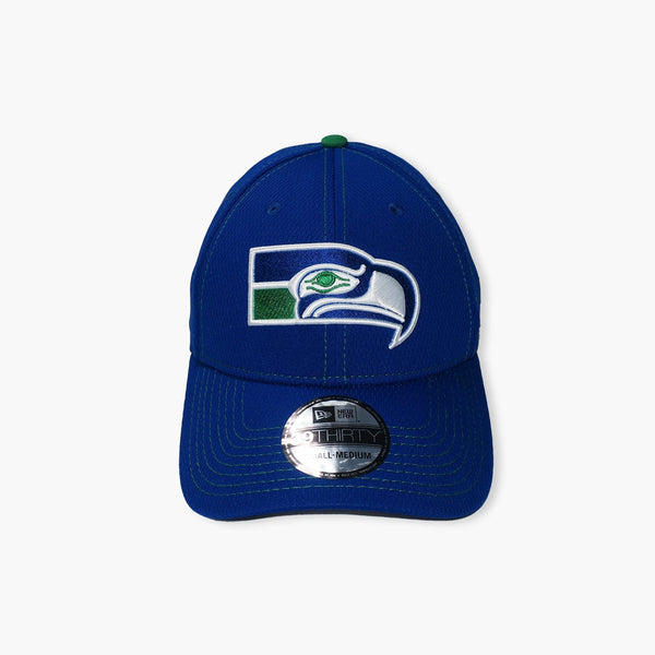 Seattle Seahawks Team Dash FlexFit Hat