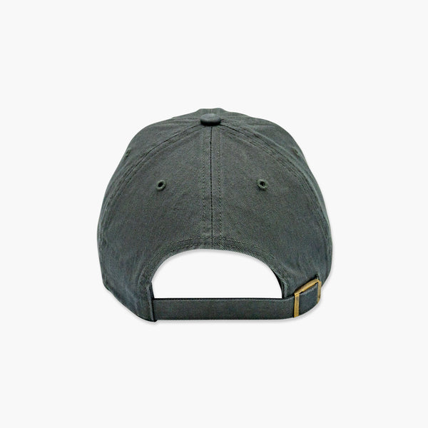 Washington Huskies Charcoal Primary Logo Clean Up Adjustable Hat
