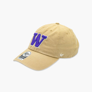 Washington Huskies Khaki Primary Logo Clean Up Adjustable Hat