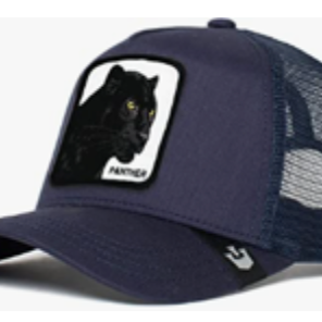 Panther Truckin Navy Trucker Hat