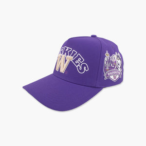 Washington Huskies Purple Block Text Dawg Pack Snapback