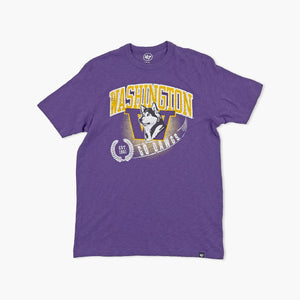 Washington Huskies Purple Team Streak Vintage T-Shirt