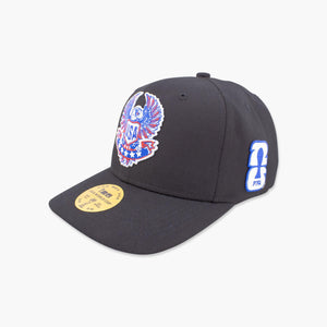 FIFA World Cup 26 USA Eagle Pro Crown Snapback