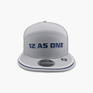 Seattle Seahawks Grey 12 As One Split Panel Snapback