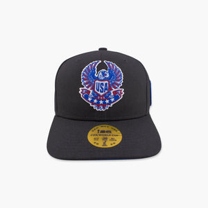 FIFA World Cup 26 USA Eagle Pro Crown Snapback