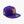 Washington Huskies Don James 1991 Rose Bowl Champions Snapback