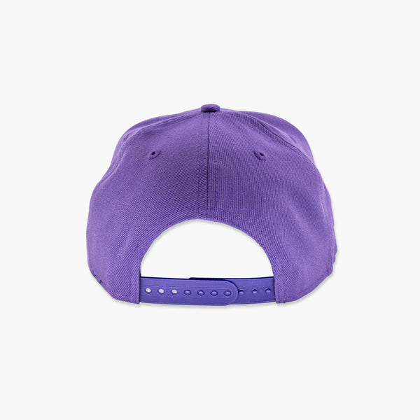 Washington Huskies 1991 Rose Bowl Champions Script Snapback