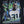 Seattle Seahawks Kam Chancellor Hawk Legend T-Shirt