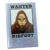 Bigfoot Wanted 2x3 Magnet