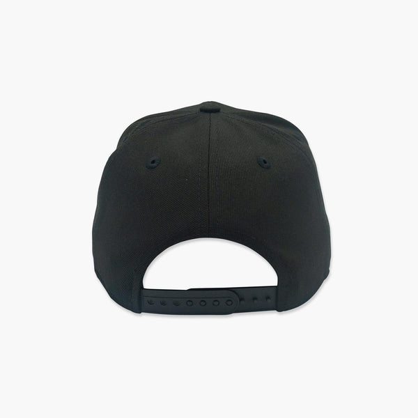 Washington Huskies Dubs Up Black Snapback