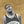 Kevin Durant 18″ x 12″ Keegan Hall Print - Autographed by Keegan Hall